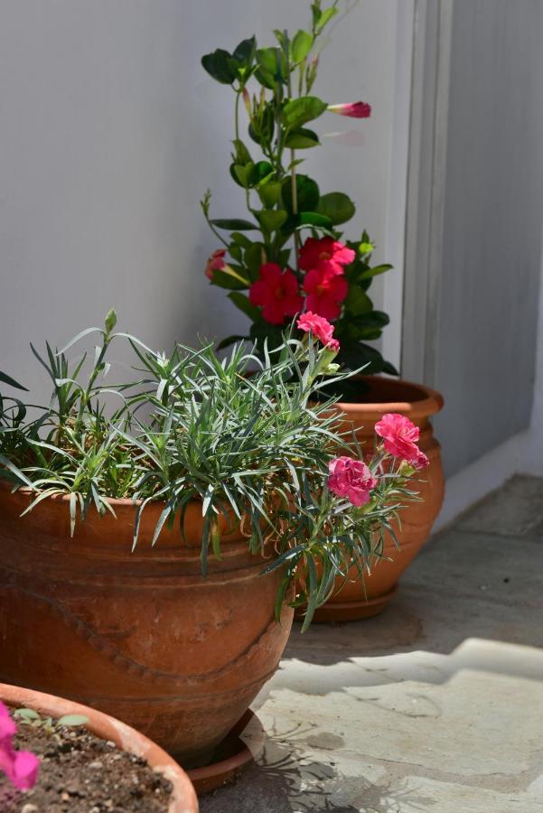 Feel At Home - Family House In Hydra المظهر الخارجي الصورة